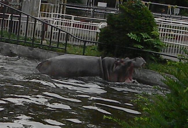 b0014576_812746.jpg