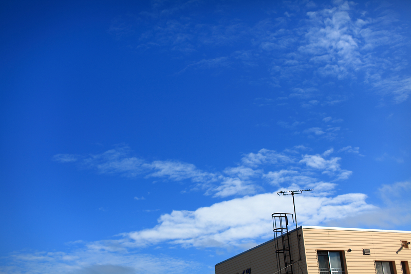 a0160581_16181825.jpg