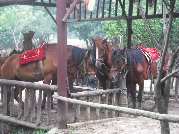 c0096685_2272775.jpg