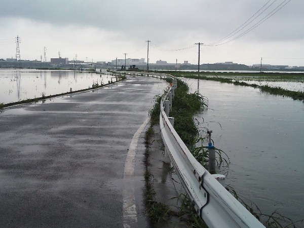 経験したことのない大雨_a0040593_1895851.jpg