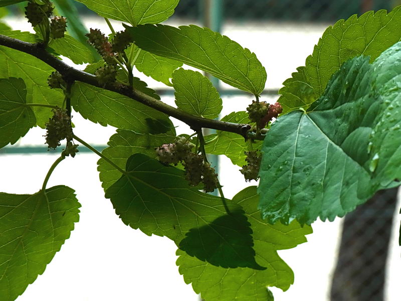 f0204094_205037100.jpg