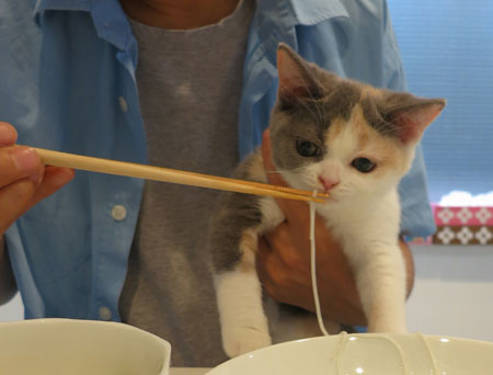 サンルイ・イニシャル・シャンパンクープ T&E_c0108595_31499.jpg