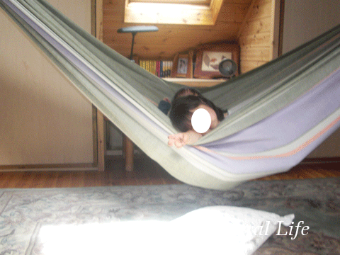 b0162000_651727.gif
