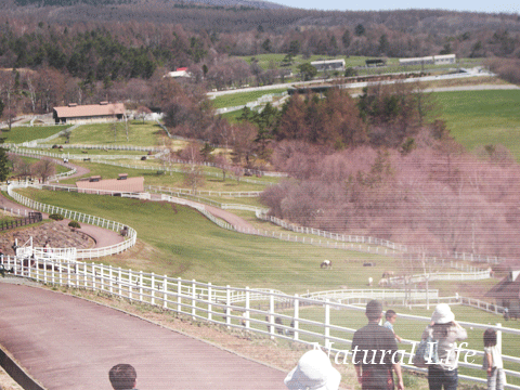 b0162000_69271.gif