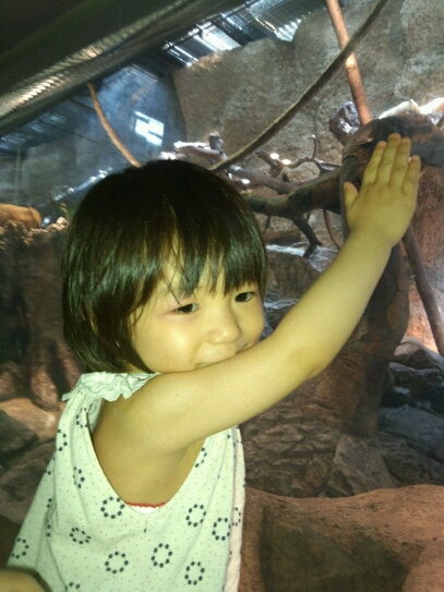 a0120501_19412068.jpg