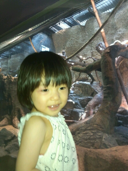 a0120501_19414647.jpg