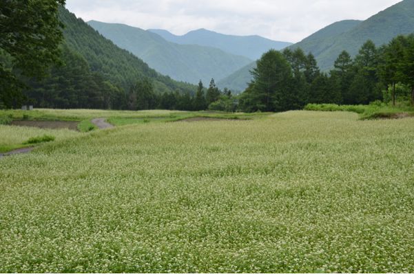 にっぽん集落町並み縦走紀行 第18日_d0147406_21194576.jpg