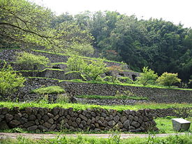 e0187908_2313955.jpg