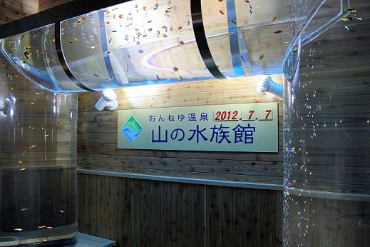 a0208109_11471137.jpg