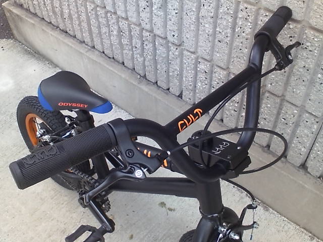 c0100318_17142022.jpg