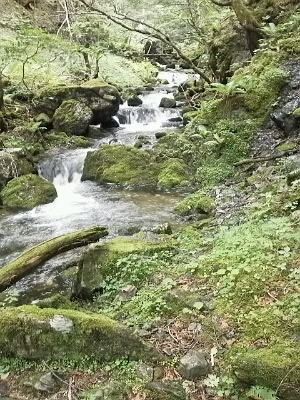 a0270125_17484852.jpg