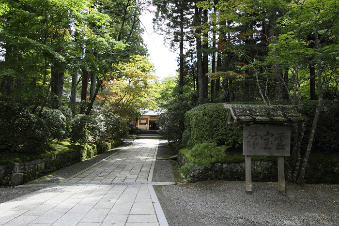 夏の高野山へ －霊宝館～下山－_b0169330_1043143.jpg