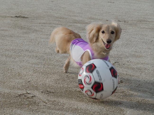 １２年７月１５日　サッカー＆シャンプー♪_c0117831_19443695.jpg