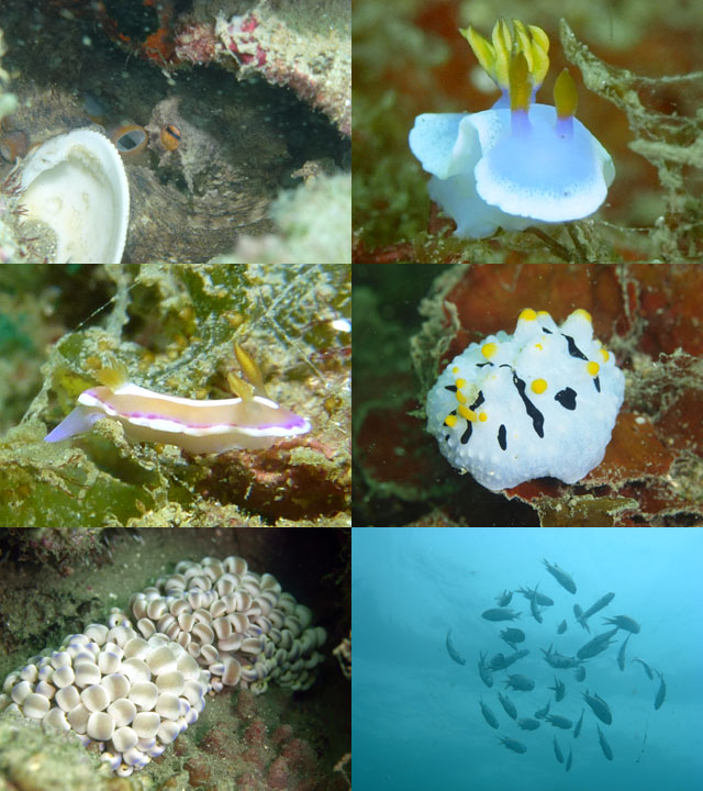 2012年7月15日(日・晴れ)甲浦_d0164831_14233067.jpg