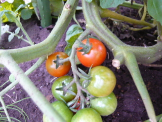 b0200240_21535356.jpg