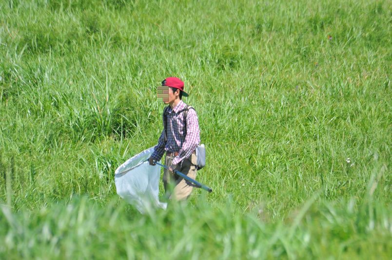  7月7～8日（1日目雨後曇後晴れ　2日目晴れ）タイトル：火の国大遠征オオウラギンヒョウモン_f0105542_1527146.jpg