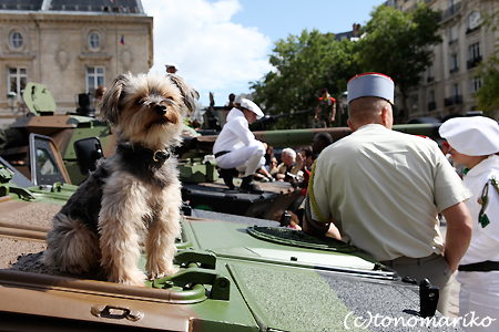 バブーと戦車のふれあいイベント_c0024345_2072852.jpg