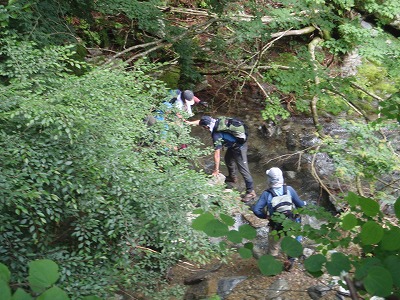 c0097754_17334094.jpg