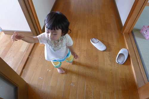 f0209354_10244567.jpg