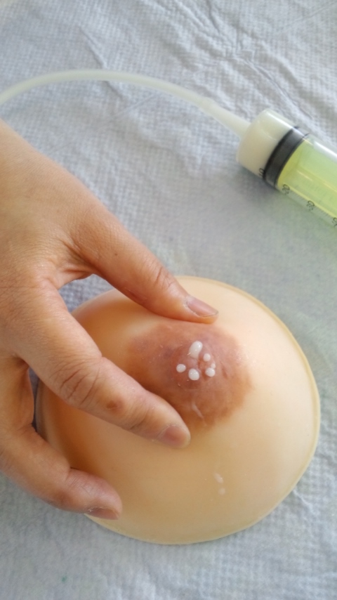 搾乳の練習用の模型 やわらかな風の吹く場所に 母乳育児を応援 搾乳の練習用の模型 やわらかな風の吹く場所に 母乳育児を応援