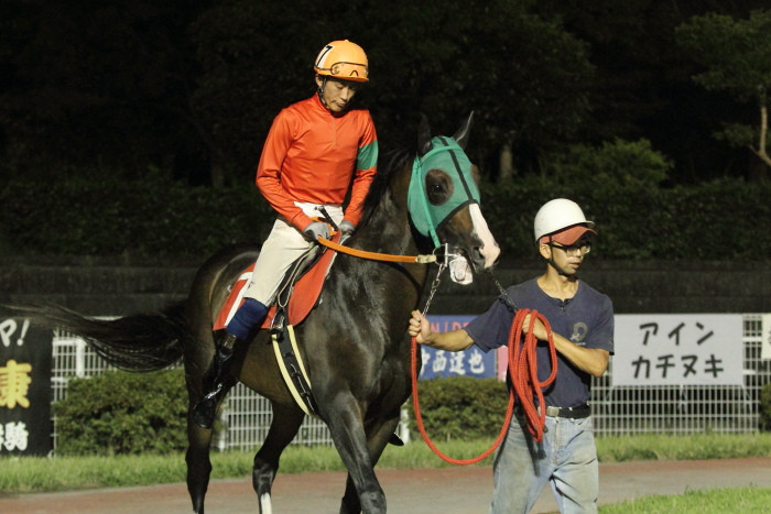2012年7月14日(土) 高知競馬 10R 清流仁淀川特別 C2-1選抜馬_a0077663_11105978.jpg