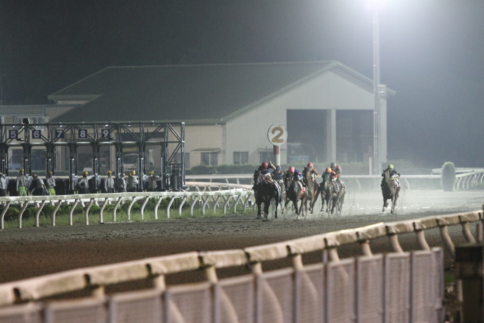 2012年7月14日（土） 高知競馬 10R 清流仁淀川特別 C2-1選抜馬_a0077663_11111226.jpg