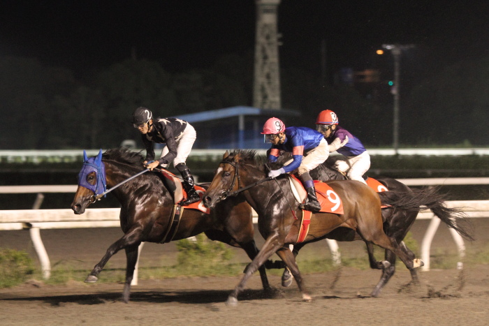2012年7月14日（土） 高知競馬 10R 清流仁淀川特別 C2-1選抜馬_a0077663_111122.jpg