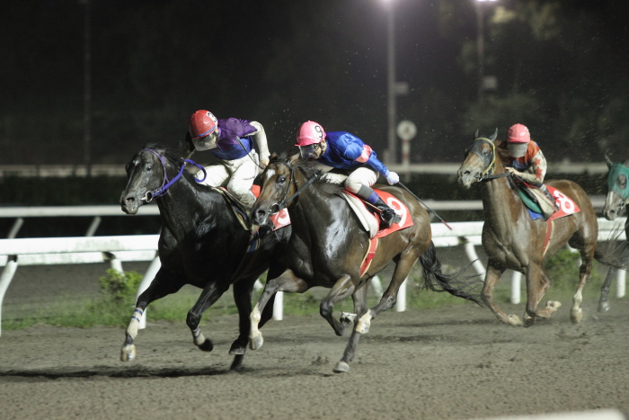 2012年7月14日（土） 高知競馬 10R 清流仁淀川特別 C2-1選抜馬_a0077663_1111244.jpg
