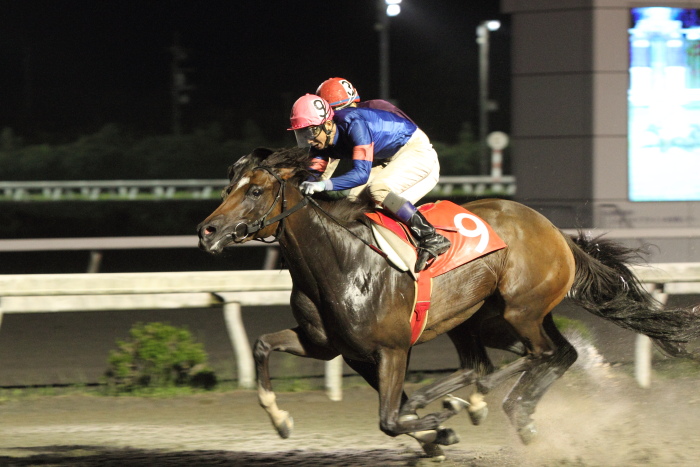 2012年7月14日(土) 高知競馬 10R 清流仁淀川特別 C2-1選抜馬_a0077663_11112889.jpg