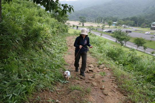 超可愛い山ガールのデビュー・・・_e0271867_21314765.jpg