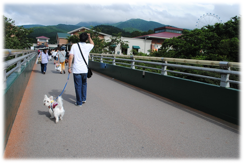 b0242873_1315741.png