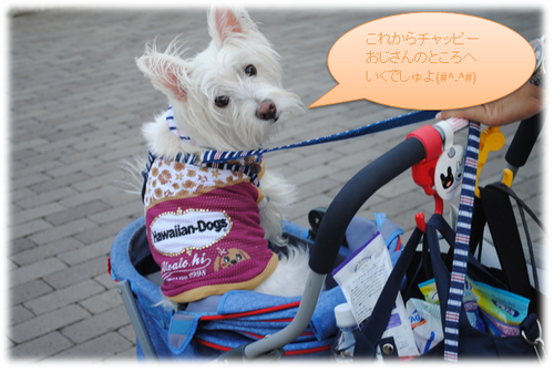 b0242873_1362420.png
