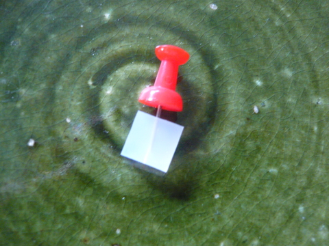 e0156079_16312084.jpg