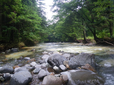 b0125180_18144416.jpg