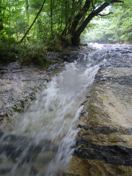 b0125180_18171851.jpg