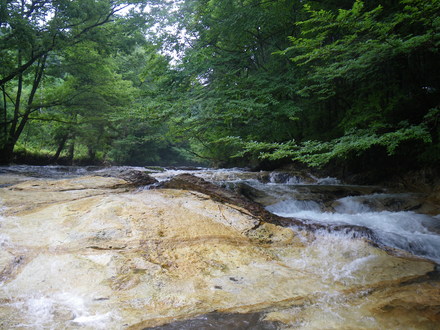 b0125180_18195692.jpg