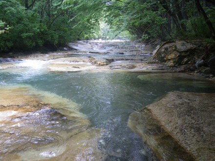 b0125180_18203559.jpg