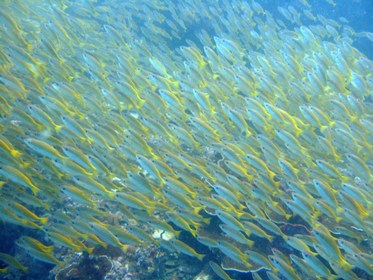 空も海も良い感じ♪_f0144385_001291.jpg