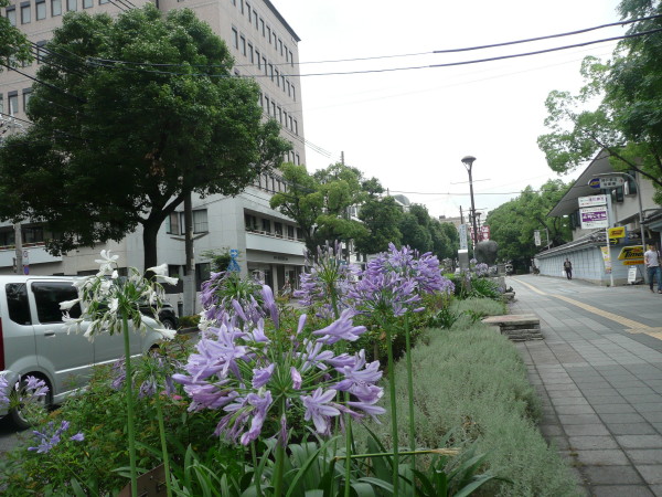 すてきなまちかど　神戸駅前・みどりと彫刻のみち周辺 on 2012-7-14_b0118987_771666.jpg