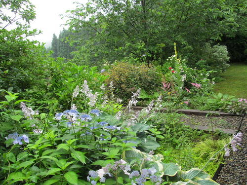 梅雨の中のレンボリューの森　その１_f0213189_1350715.jpg