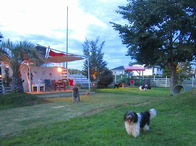 e0227996_23593753.jpg