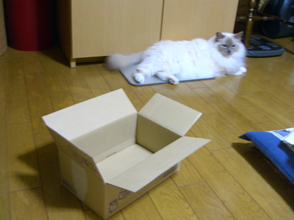 a0045697_09240.jpg