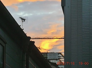 2012年7月16日（月） ； 晴れ_d0051601_23231790.jpg