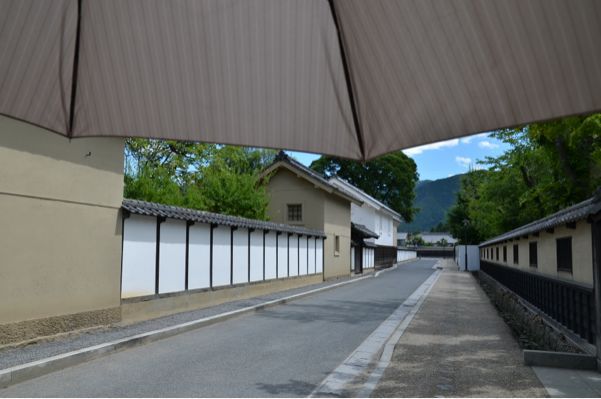 にっぽん集落町並み縦走紀行 第19日_d0147406_2012099.jpg