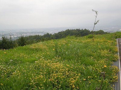 八ヶ岳山麓を訪ねて　★登美の丘★_d0180506_2141122.jpg