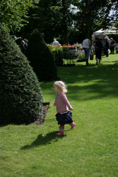 Chenies Manor とガーデニング。_a0215008_3423065.jpg