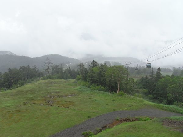 f0006510_2254664.jpg
