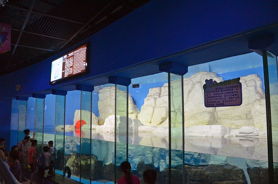 a0151913_21463878.jpg
