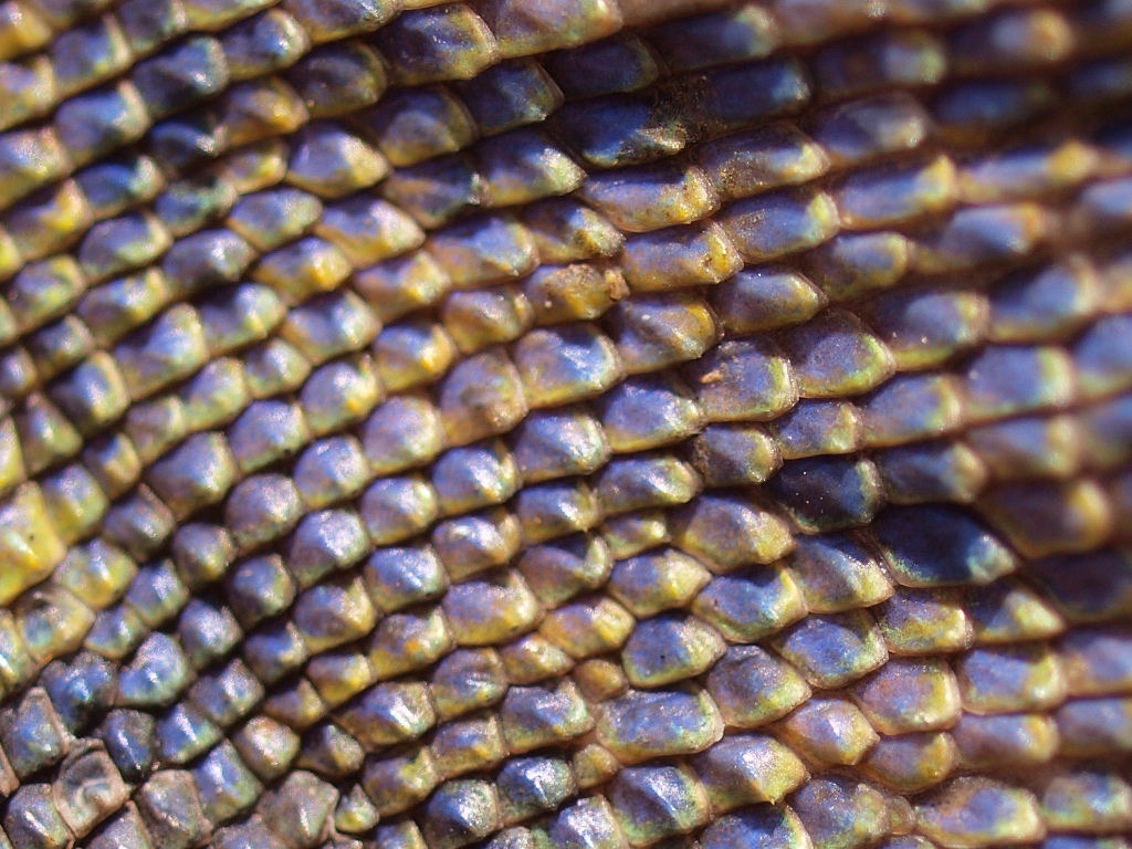 c0156313_20281559.jpg