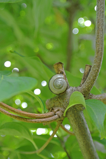 梅雨の中休み。(^^)_e0020214_16533974.gif